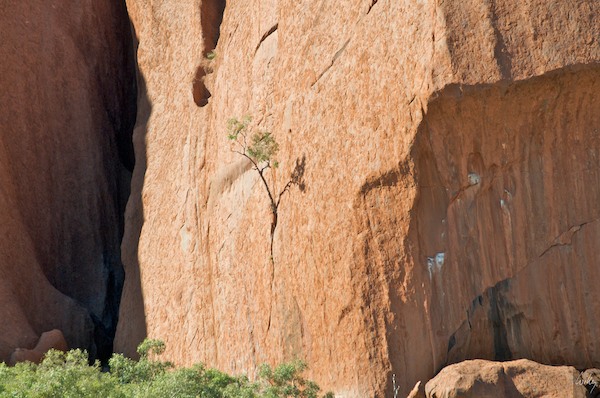 AustraliaAdelaide 10  121